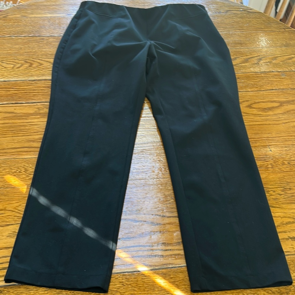 Vince Camuto black stretch pants. Elastic band in waist. Side zip. Size 18W.